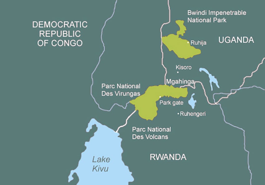 Mappa della distribuzione dei gorilla di montagna