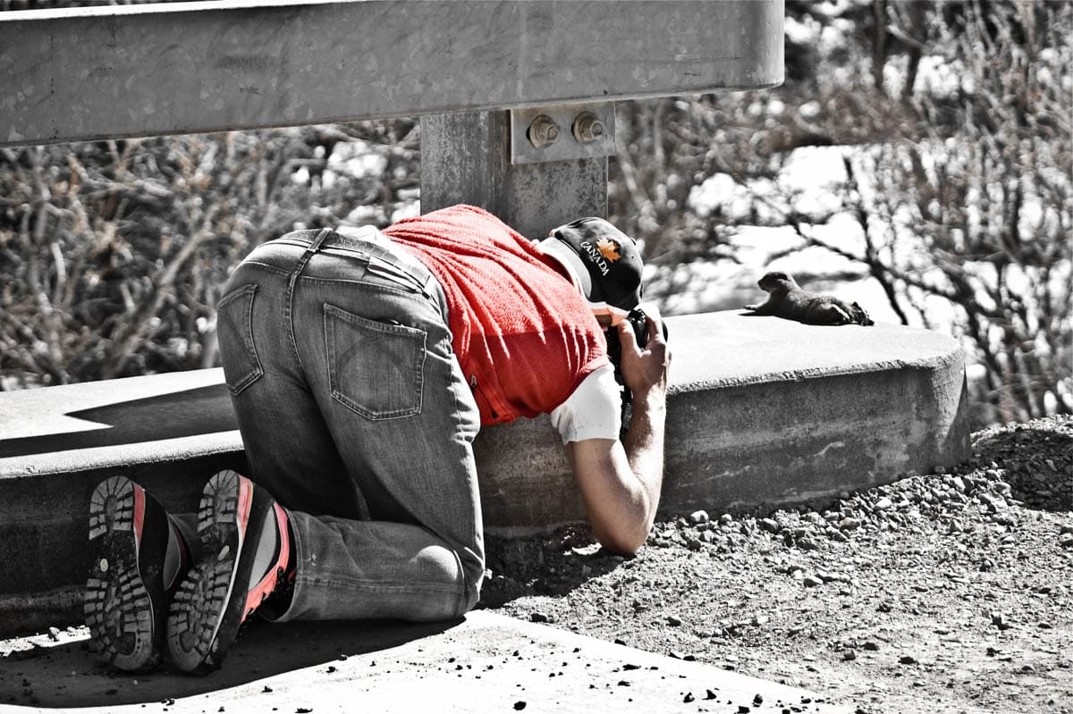 viaggio in Alaska in primavera - behind the scene