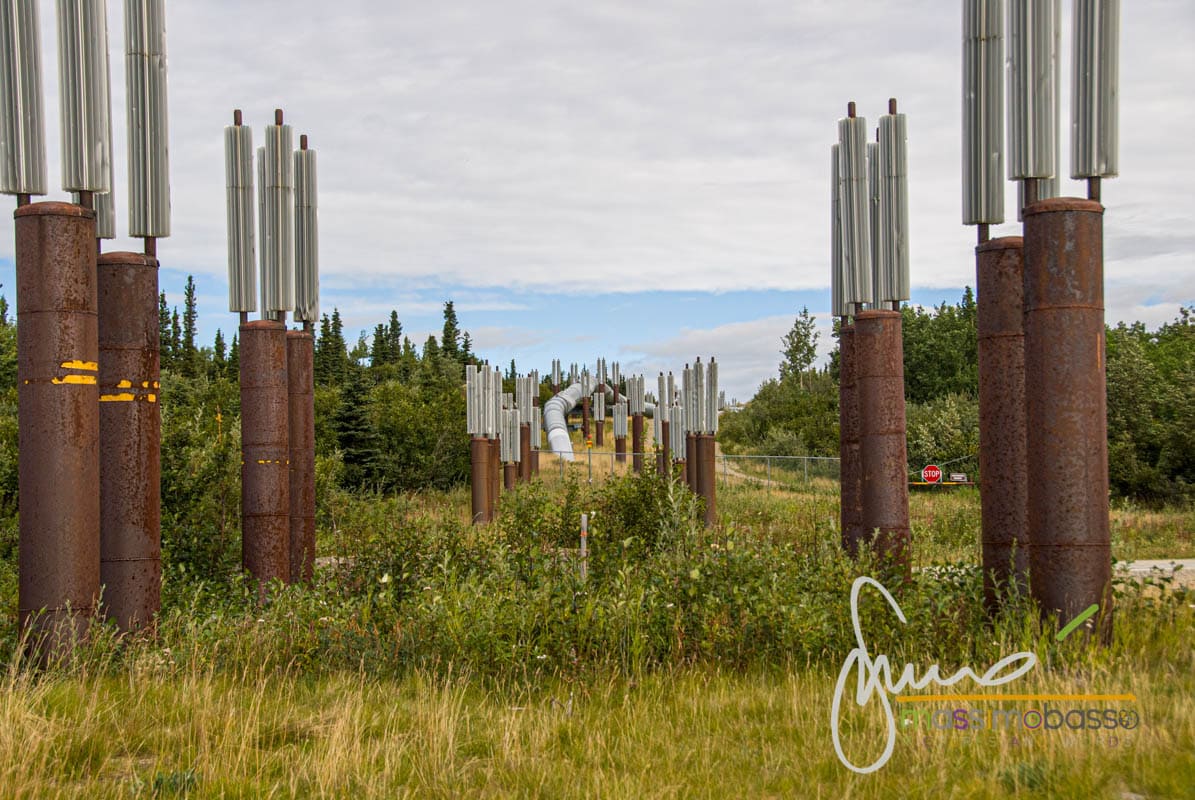 La Trans Alaska Pipeline Sulla Richardson