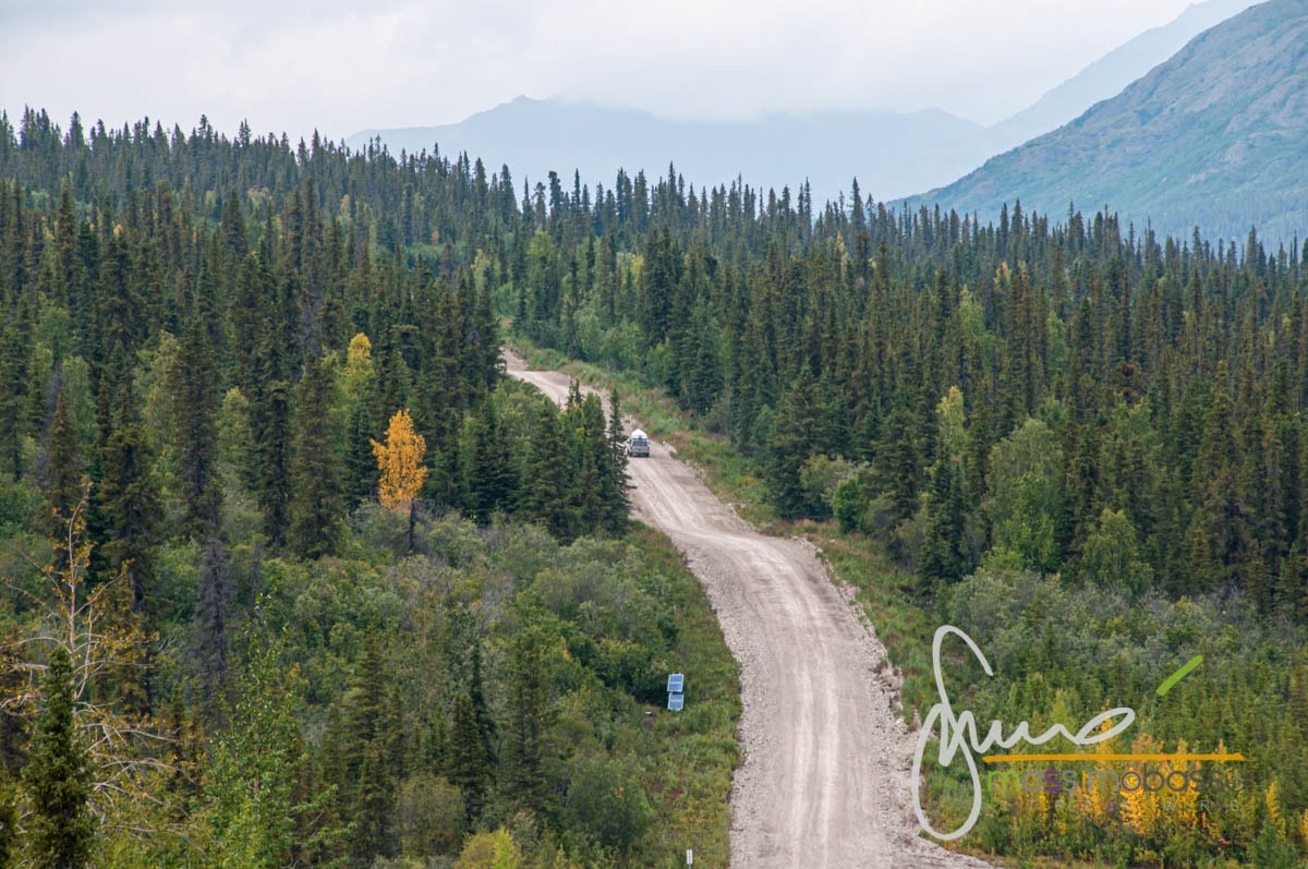 Strade Che ร Possibile Incontrare Durante Il Viaggio In Alaska In Auto