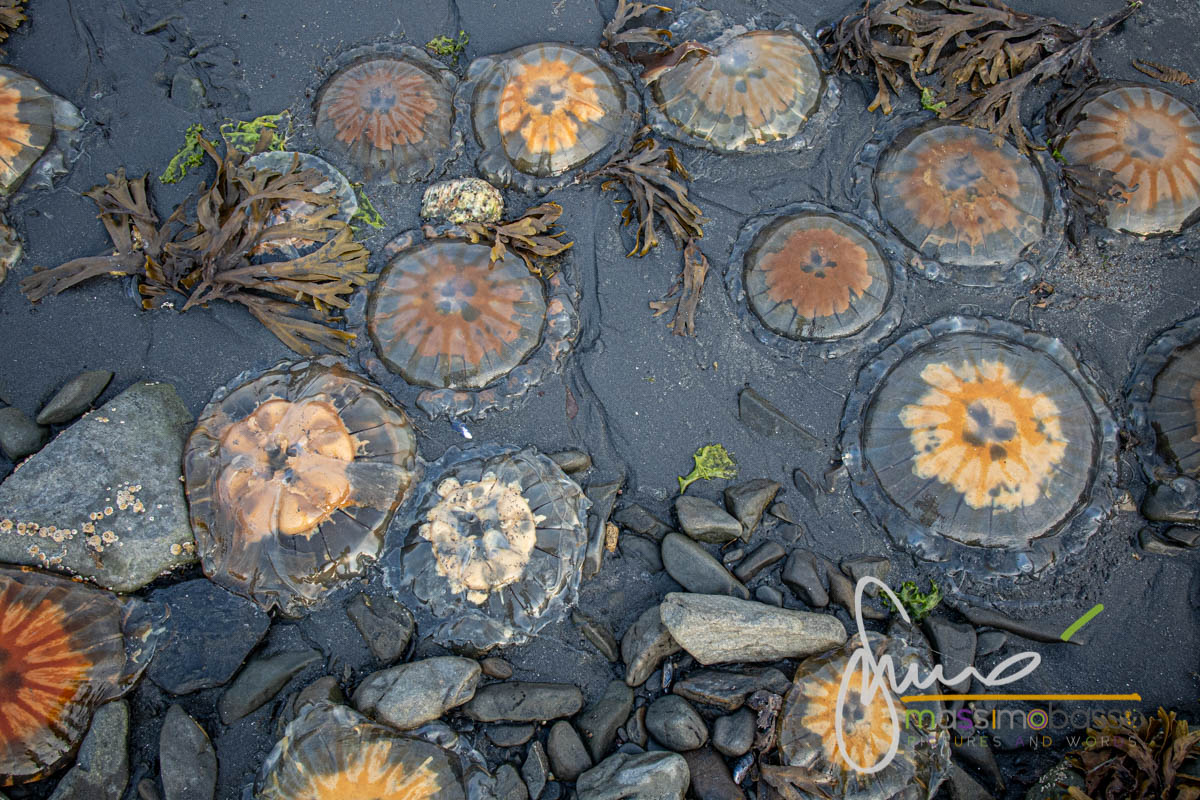 Immagini Dell'alaska Che Non Ti Immagini