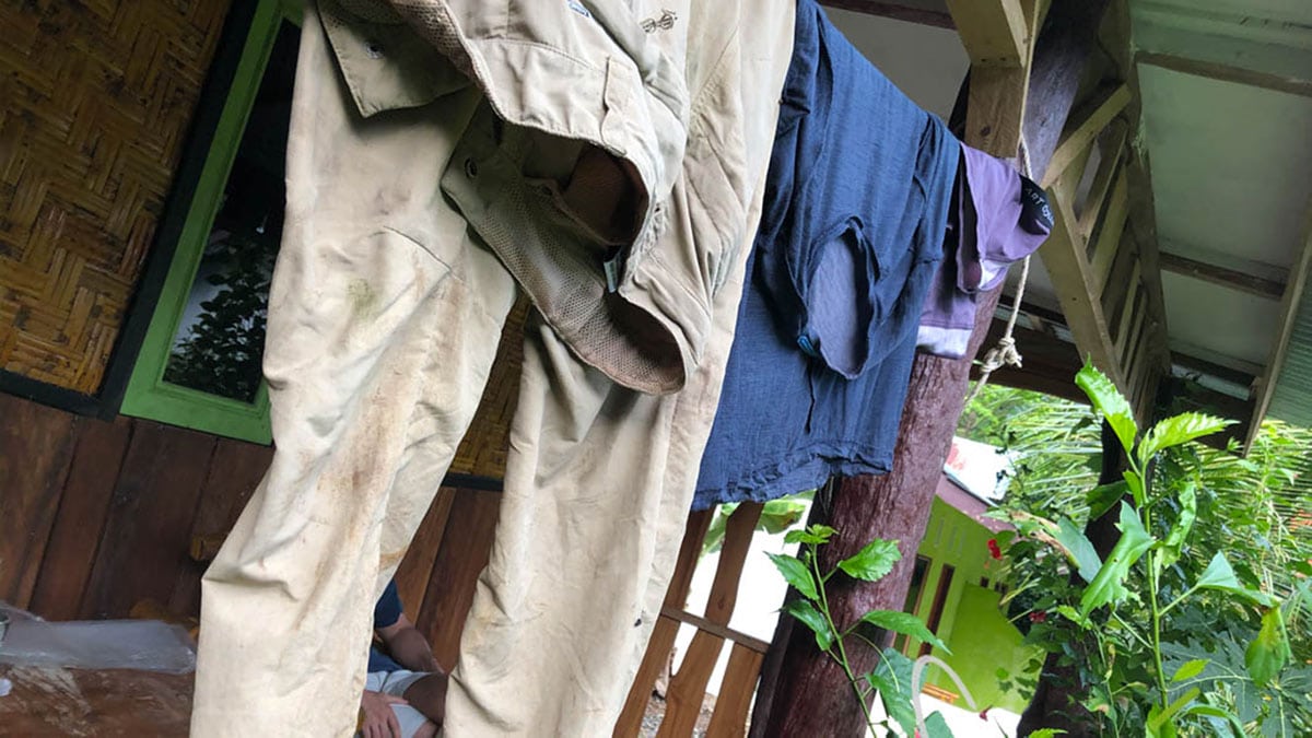 Panni stesi, dopo l'escursione a Tangkahan 