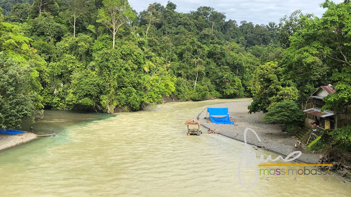 Il villaggio di Tangkahan sul fiume