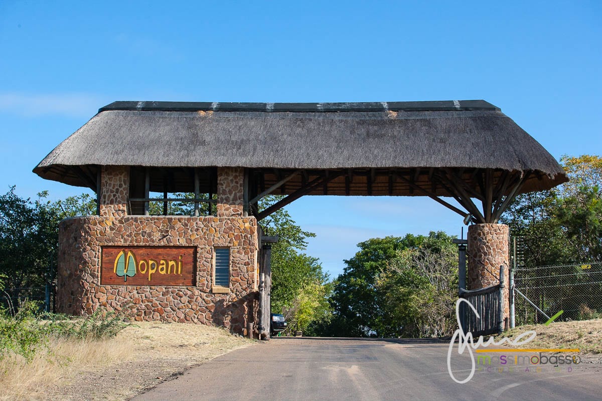 Ingresso Mopani - Parco Nazionale Kruger - Sudafrica