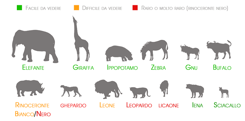 animals africa Parco Nazionale Kruger