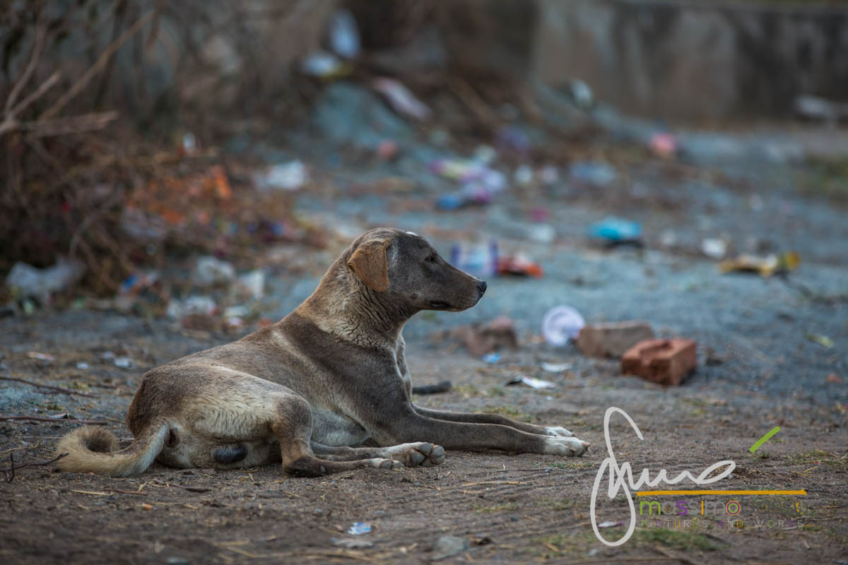 Orchha - Scene Di Vita