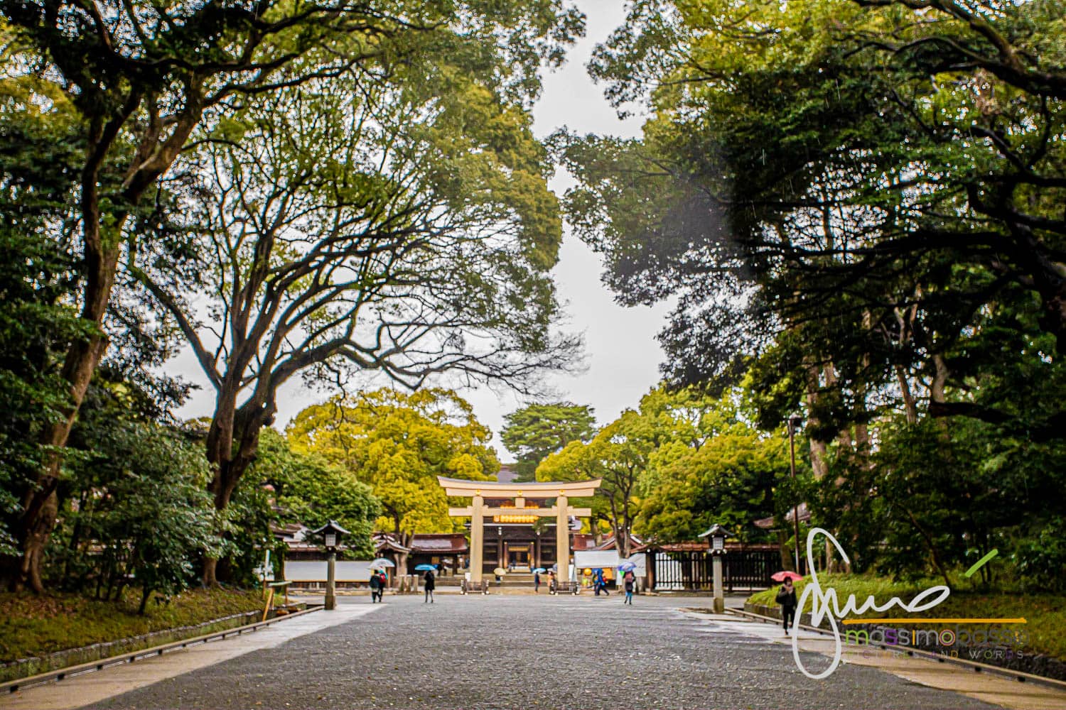 Santuario Shintoista Meiji Jingu A Tokyo