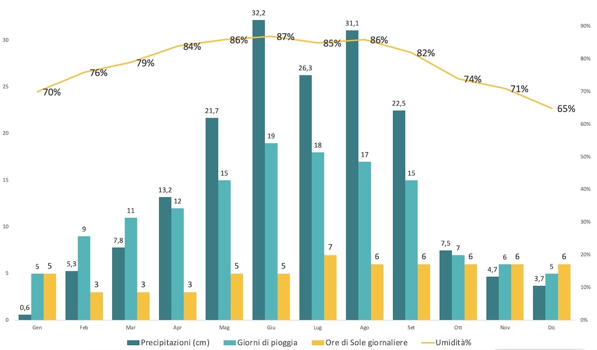 Il periodo migliore per andare ad Hong Kong - grafico precipitazioni umidita giorni di sole giorni di pioggia