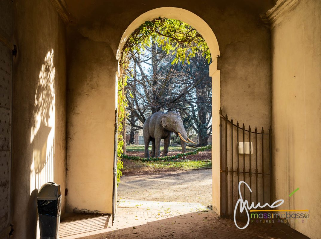Ingresso con scorcio sulla statua dell'elefante nel giardino interno