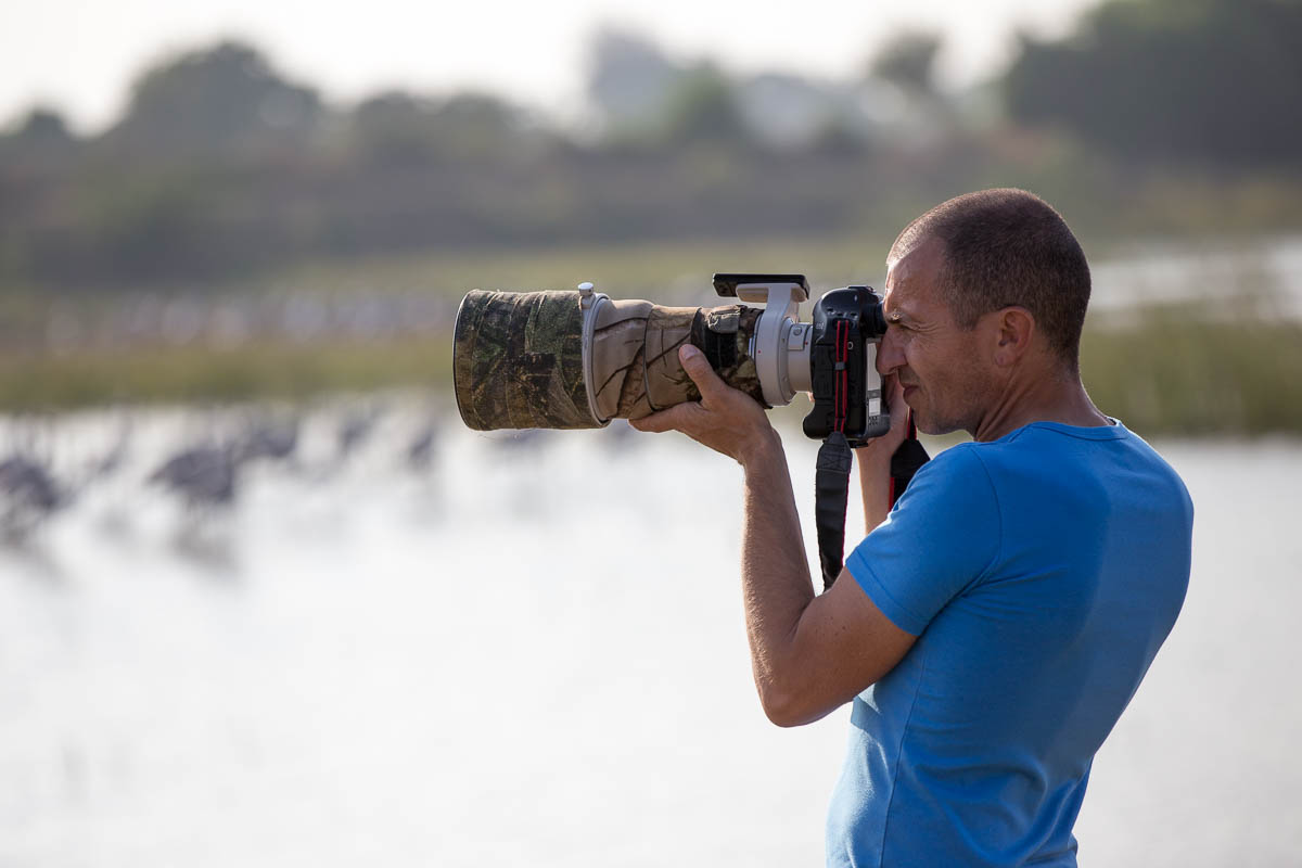 In India, fotografando la fauna selvatica per il mio blog