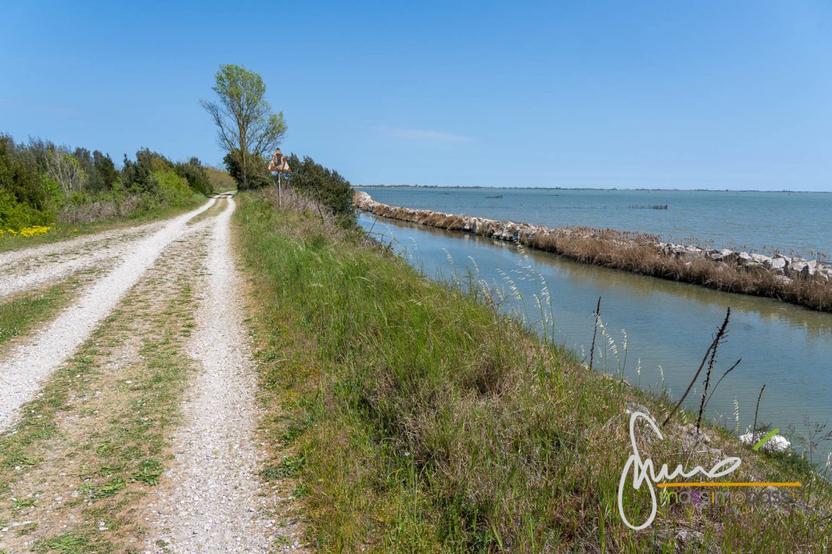 Il parco del Delta del Po