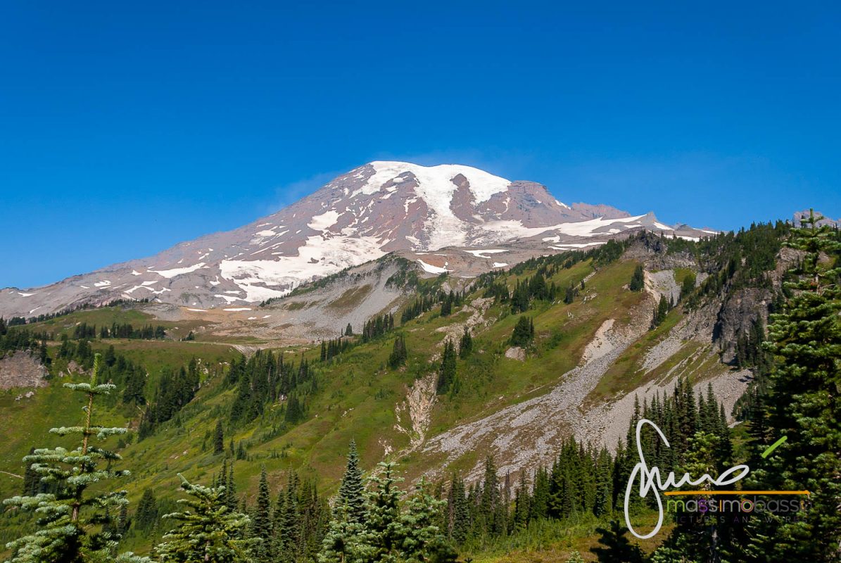 Mount Rainier - Stato Di Washington