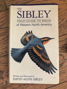Sibley - guida agli uccelli del nord America