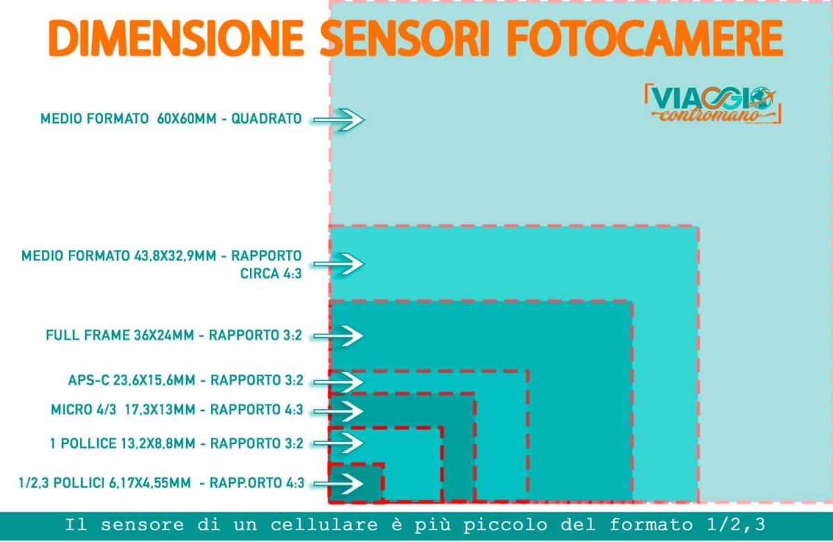 Infografica Sulle Forme E Dimensioni Dei Sensori Di Immagine Delle Fotocamere Digitali