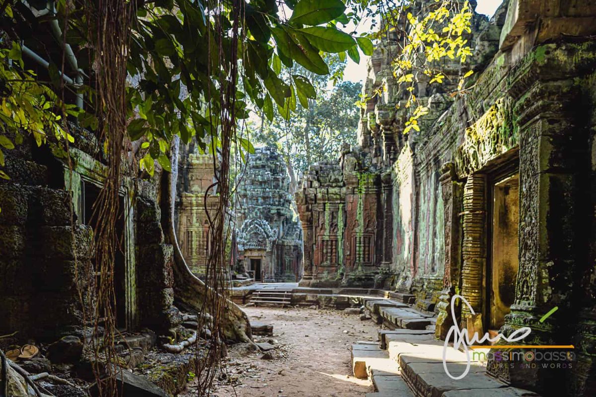 Ingresso ai templi in Cambogia