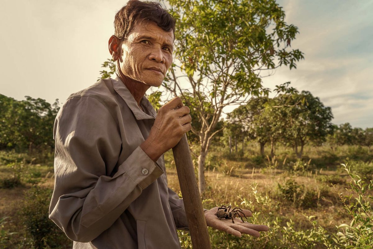 Viaggio Fotografico in Cambogia: Spider hunter in Cambogia il cacciatore di tarantole 