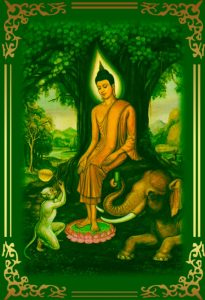 Il Buddha Del Mercoledì Sera