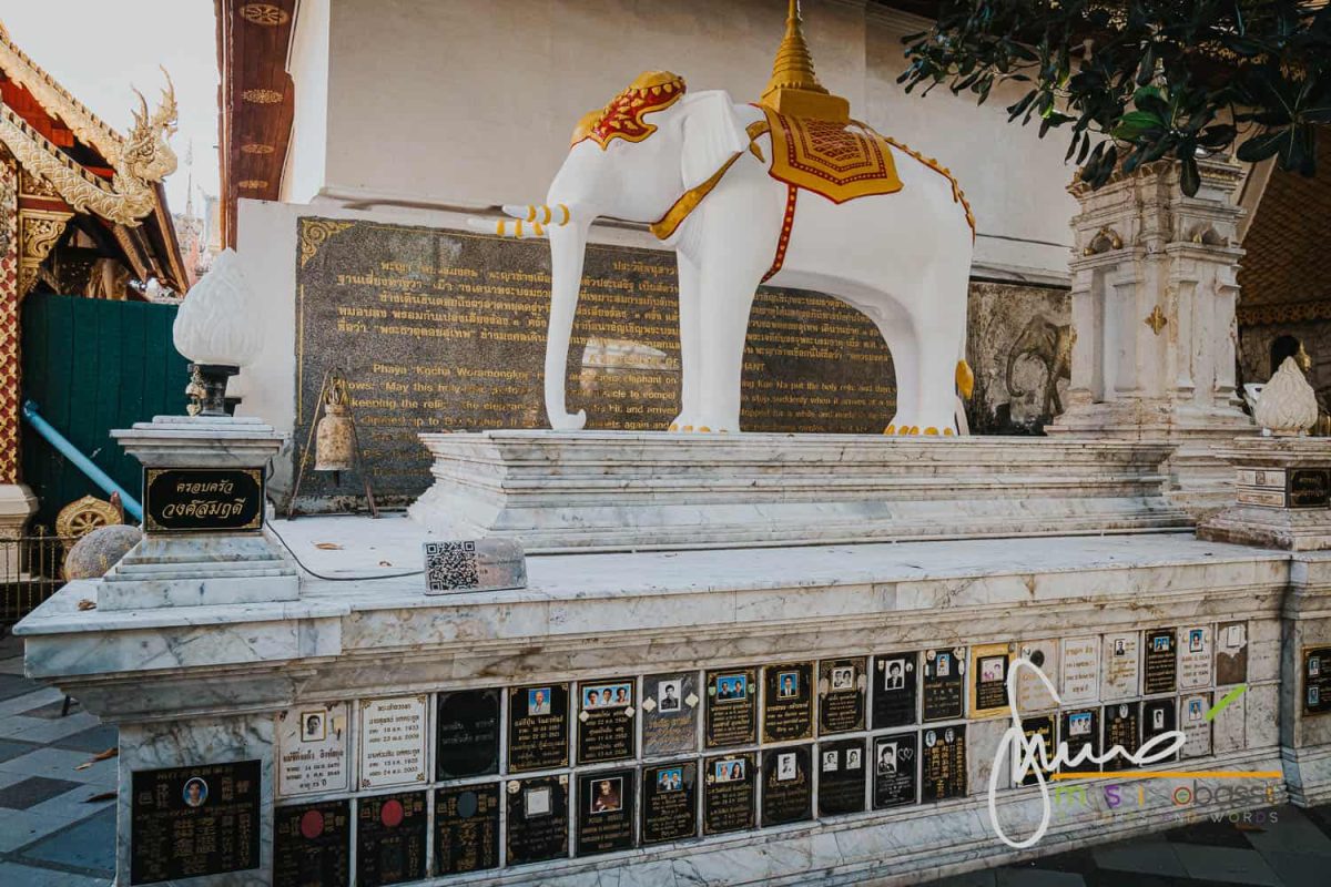 Elefante Bianco Wat Phra That Doi Suthep A Chiang Mai