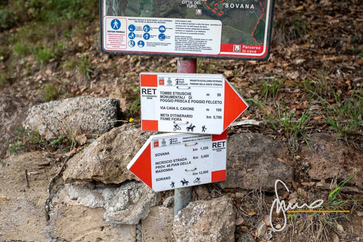 Itinerario nella Tuscia - Le vie cave