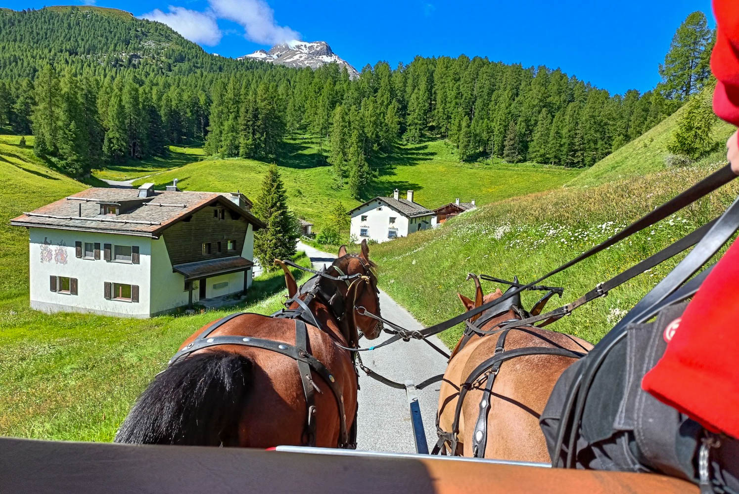 Escursione in Val Fex engadina Svizzera_-2