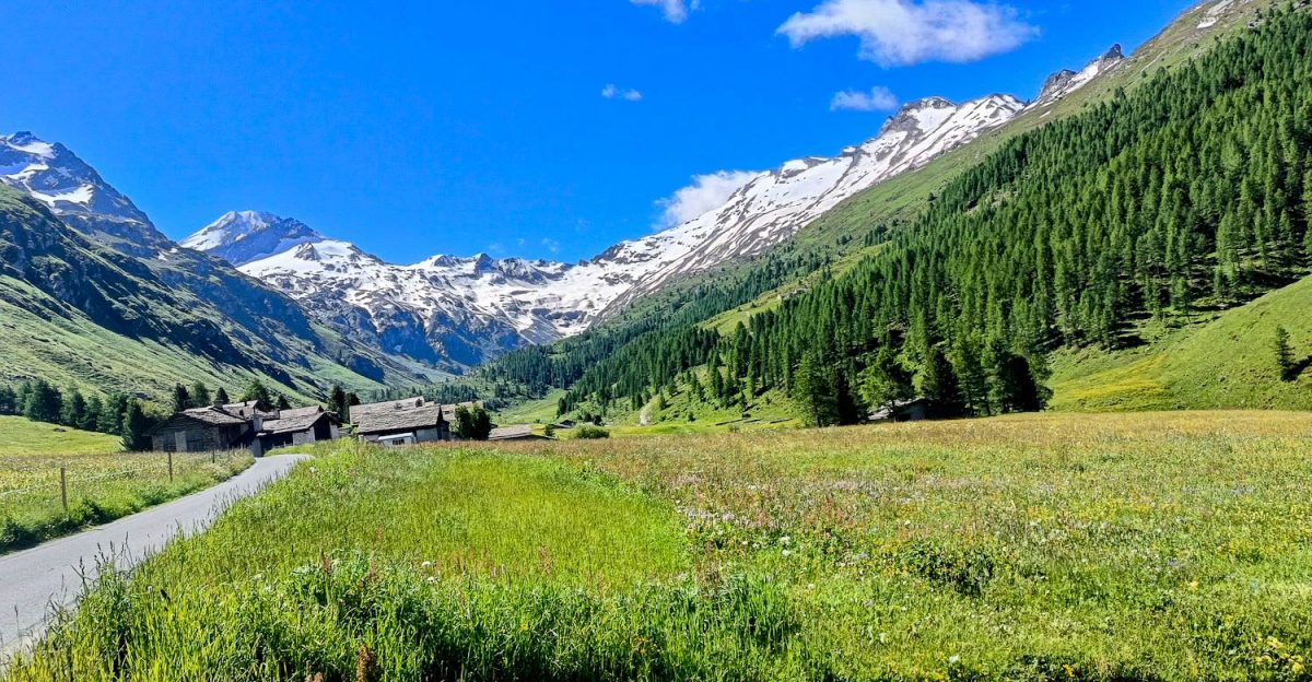 Escursione In Val Fex Engadina Svizzera_-2