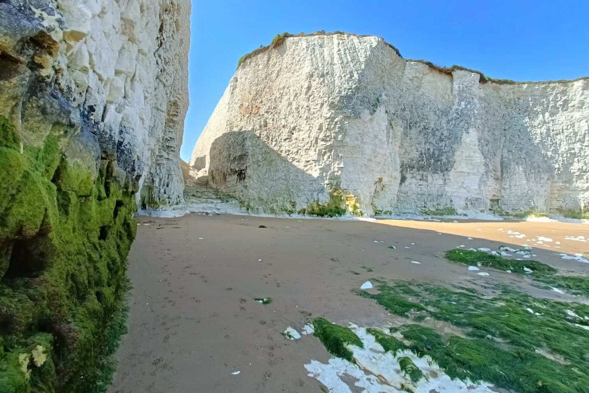 Botany Bay Nel Kent