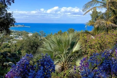 I Giardini La Mortella ad Ischia - fondazione William Walton-1