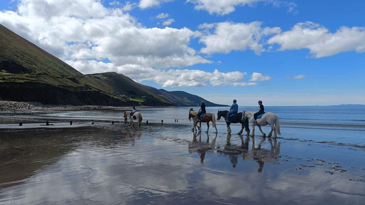 Il Burren Nella Verde Irlanda