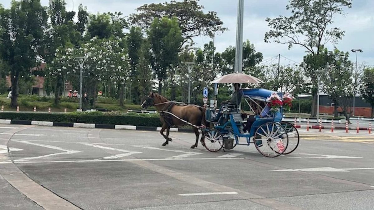 Le Carrozze Di Lampang