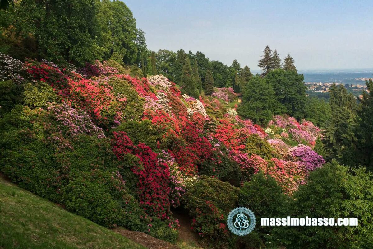 Biella - Parco della Burcina il Giardino dei Biellesi
