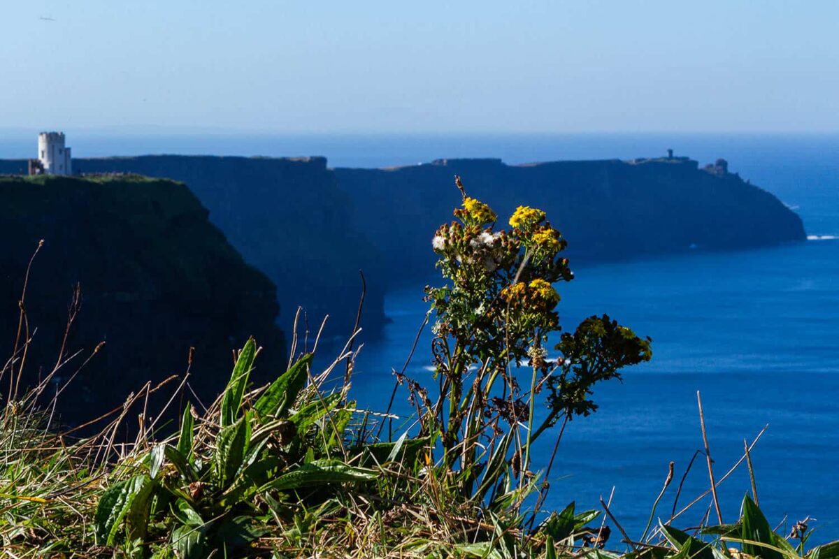 Cliffs of Moher