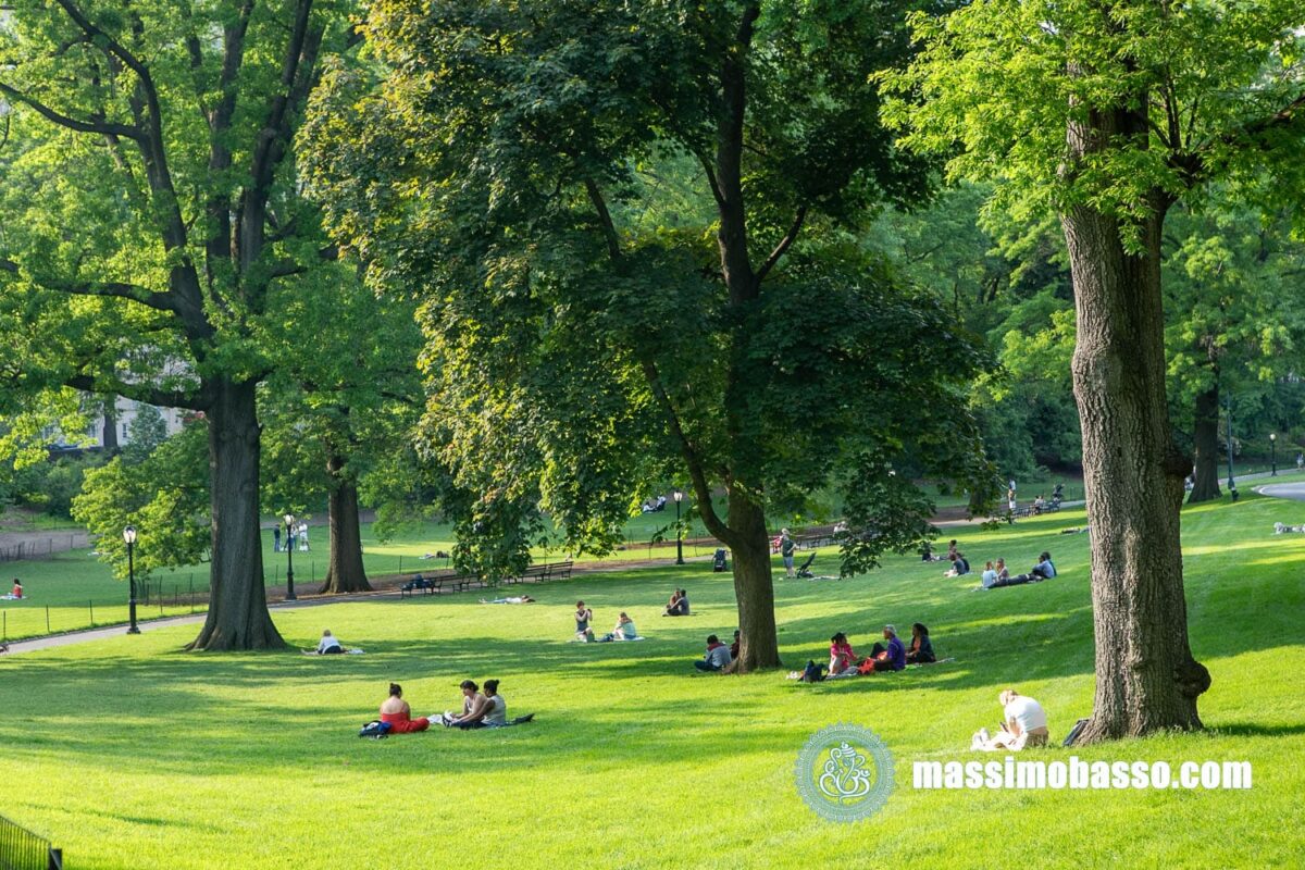 Cosa fare a New York a Luglio - Picnic a Central Park