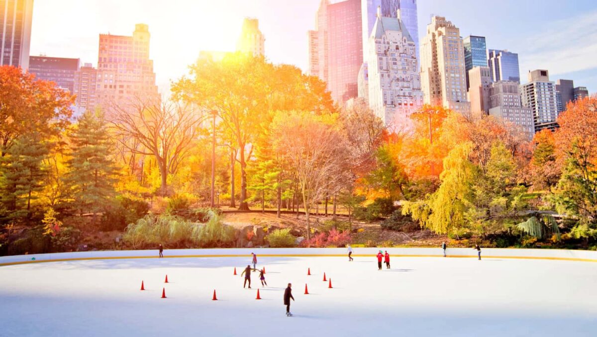 Pattinare Sul Ghiaccio -Ice Rink