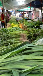 Pandan o Vaniglia d'Oriente