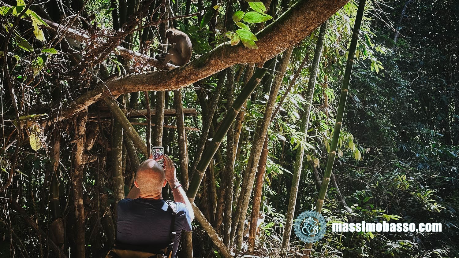 Khao Sok National Park - Thailandia - Momento PRO: la foto con il cellulare
