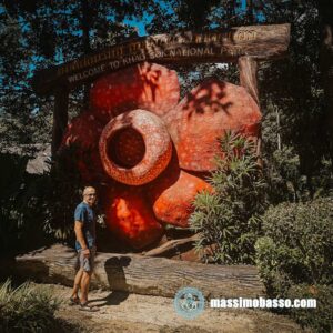Rafflesia Kerrii, il simbolo del parco