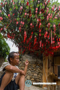 Albero votivo a Wengji